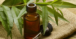 Tea tree oil